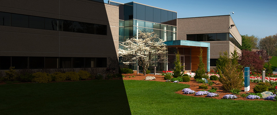 Crandon Landscapers