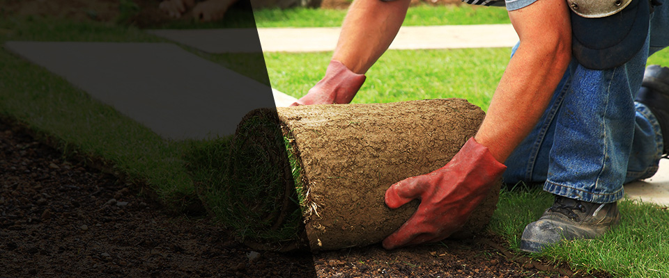 Crandon Landscapers